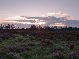 Morgensteming-Kongenshus-mindepark-IMGP8417